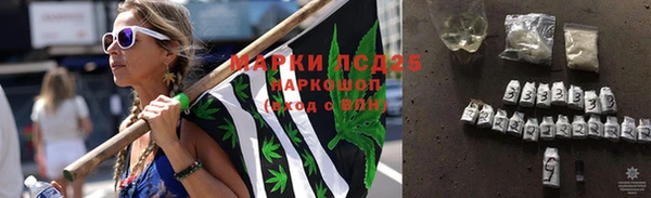 PSILOCYBIN Магас