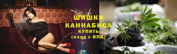 PSILOCYBIN Магас