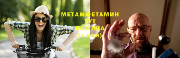 PSILOCYBIN Магас