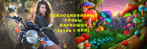 PSILOCYBIN Магас