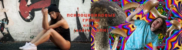 PSILOCYBIN Магас