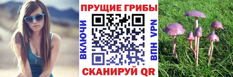 сайты даркнета телеграм  Майский  Галлюциногенные грибы MAGIC MUSHROOMS 