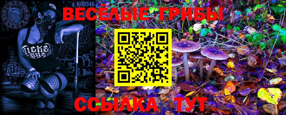 Майский  Псилоцибиновые грибы Psilocybine cubensis  Вход с VPN 